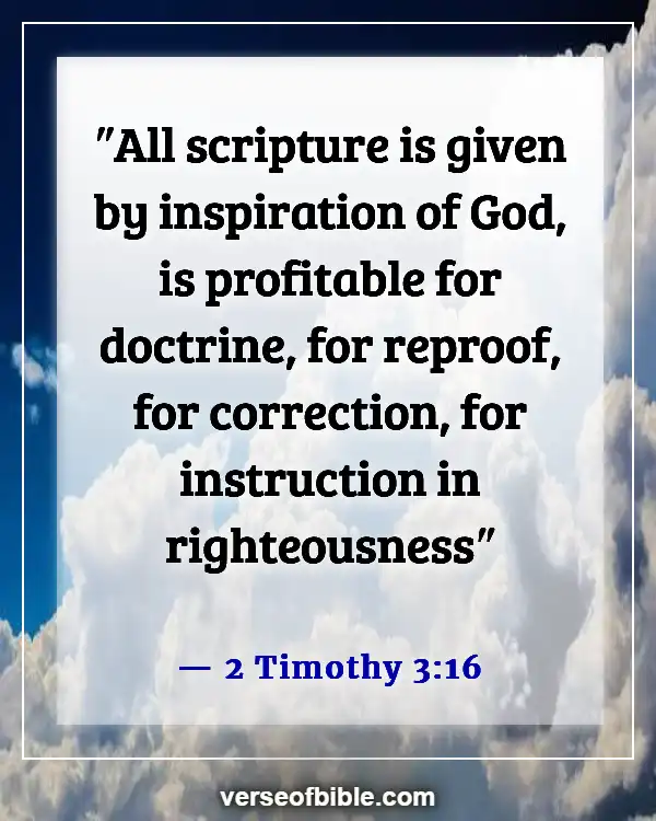 Understanding the Bible from an Eternal Perspective (2 Timothy 3:16)
