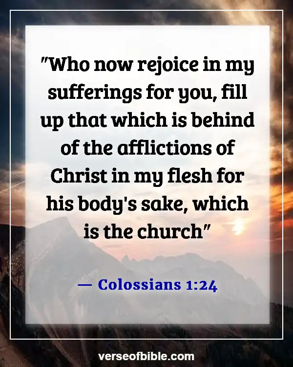 Bible Verse About Rejoicing In Trials And Temptations  (Colossians 1:24)