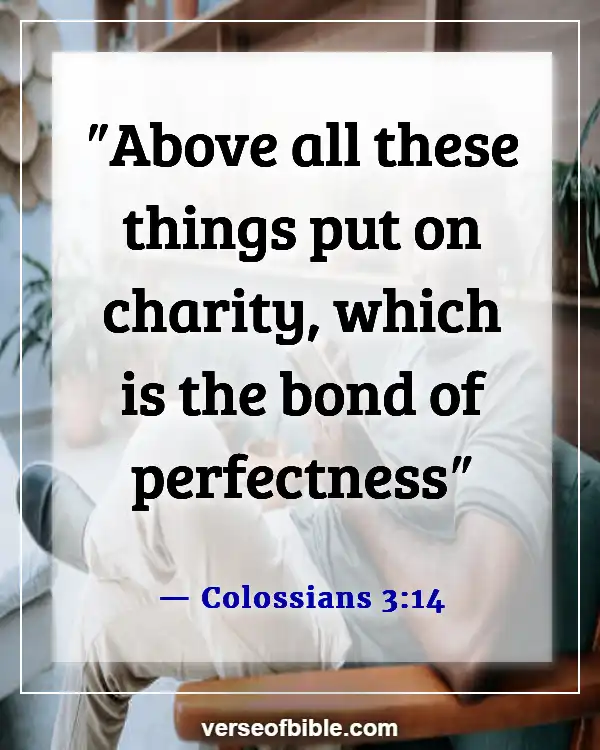 Bible Verses About Put On The Full Armor Of God (Colossians 3:14)
