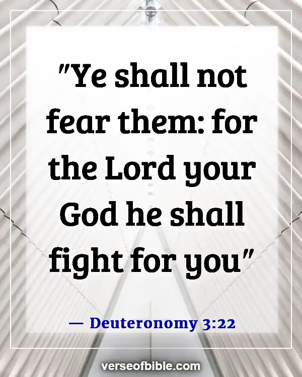 Bible Verses About Put On The Full Armor Of God (Deuteronomy 3:22)