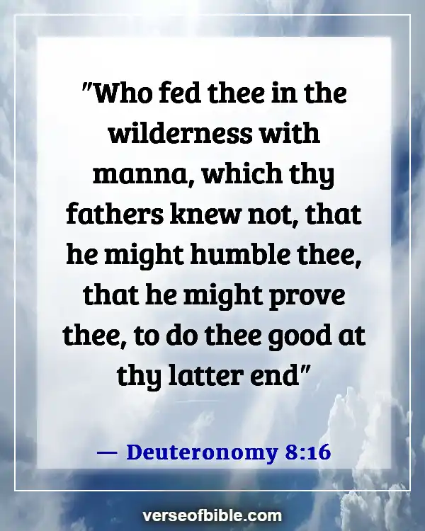 Bible Verses About God Turning Bad Into Good (Deuteronomy 8:16)