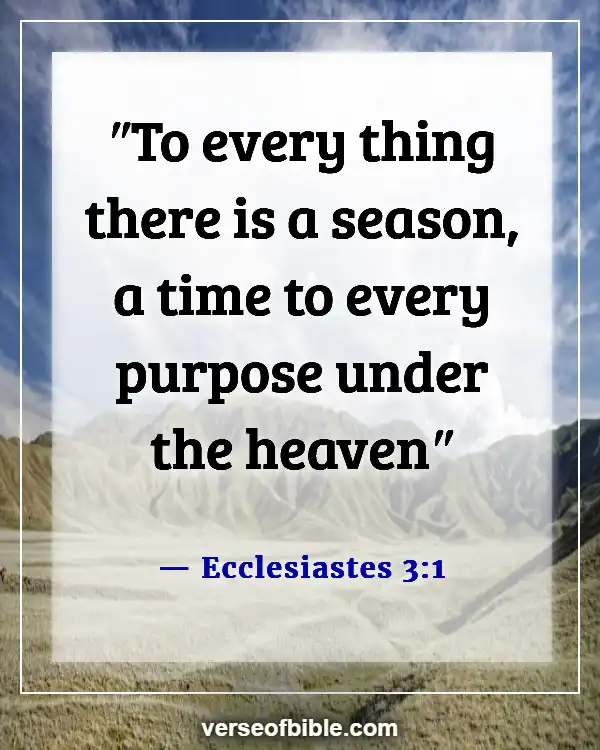 God Has A Purpose For Your Life  Bible Verses (Ecclesiastes 3:1)