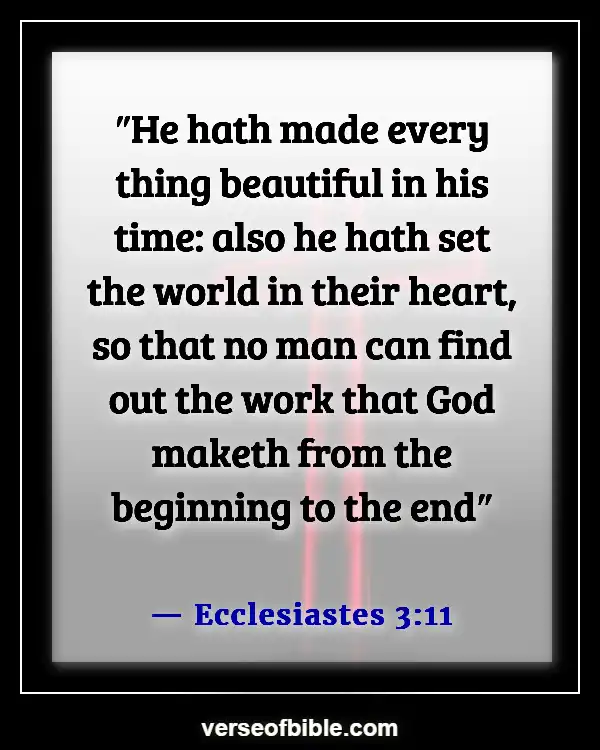 Bible Verses About Beauty Of Nature (Ecclesiastes 3:11)