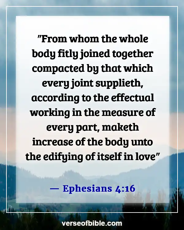 Bible Verses about the Gifts of the Holy Spirit (Ephesians 4:16)