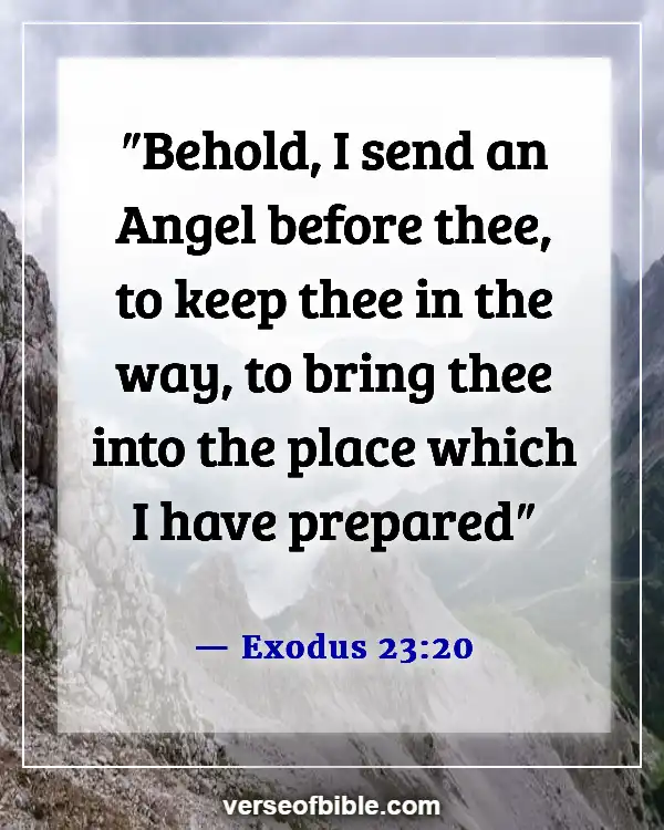 Bible Verses About Angels Rejoice In Heaven (Exodus 23:20)