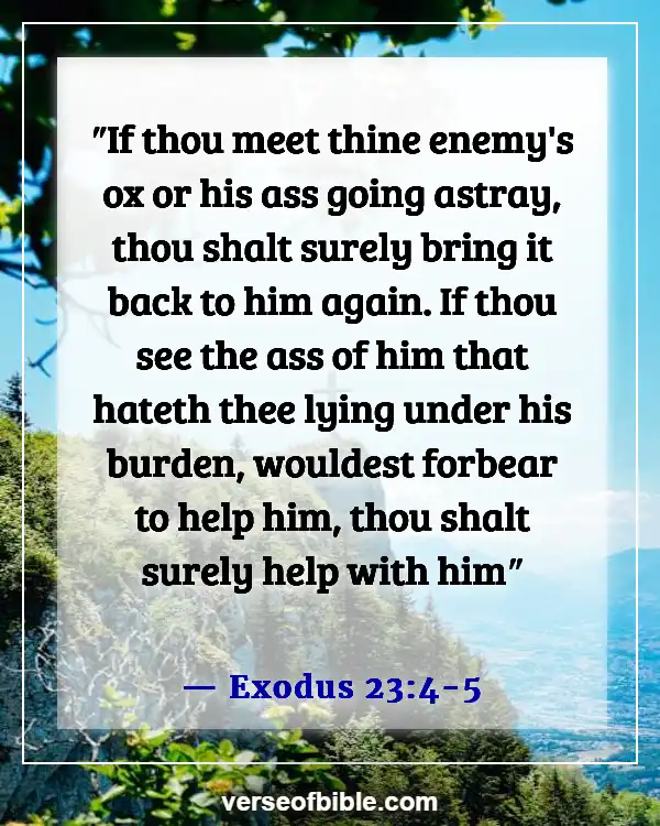 Bible Verses About Doing Wrong To Others (Exodus 23:4-5)