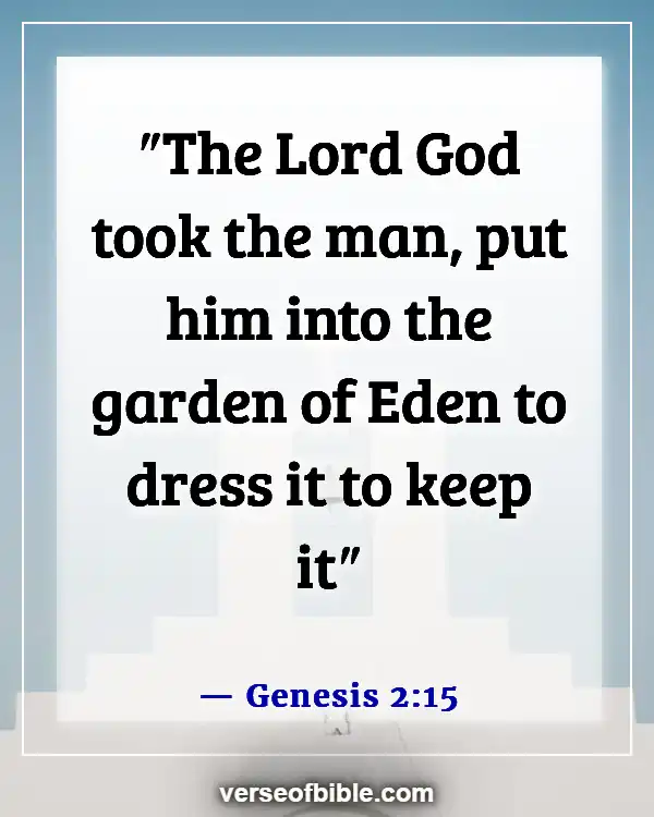 Bible Verses About Attitude Towards Work (Genesis 2:15)