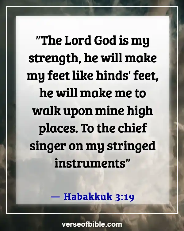 Bible Verses About Weakness And Strength For The Weak (Habakkuk 3:19)