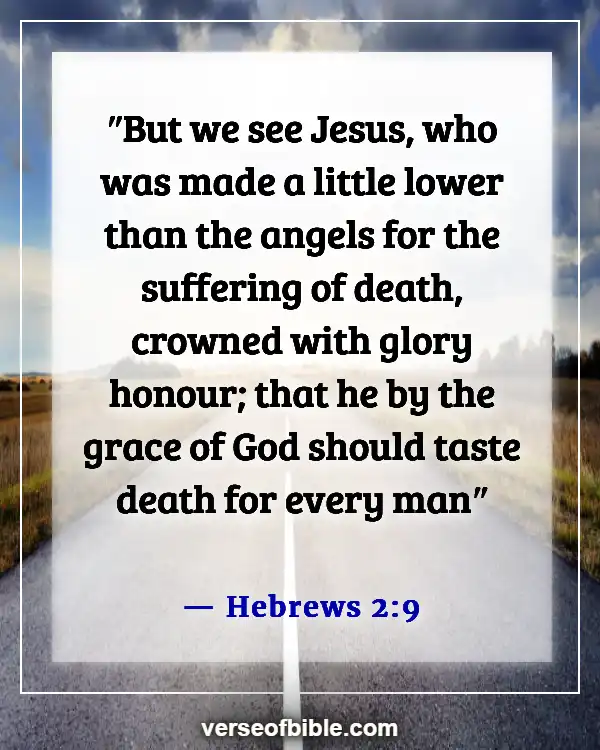 Bible Verses That Prove Predestination Wrong (Hebrews 2:9)