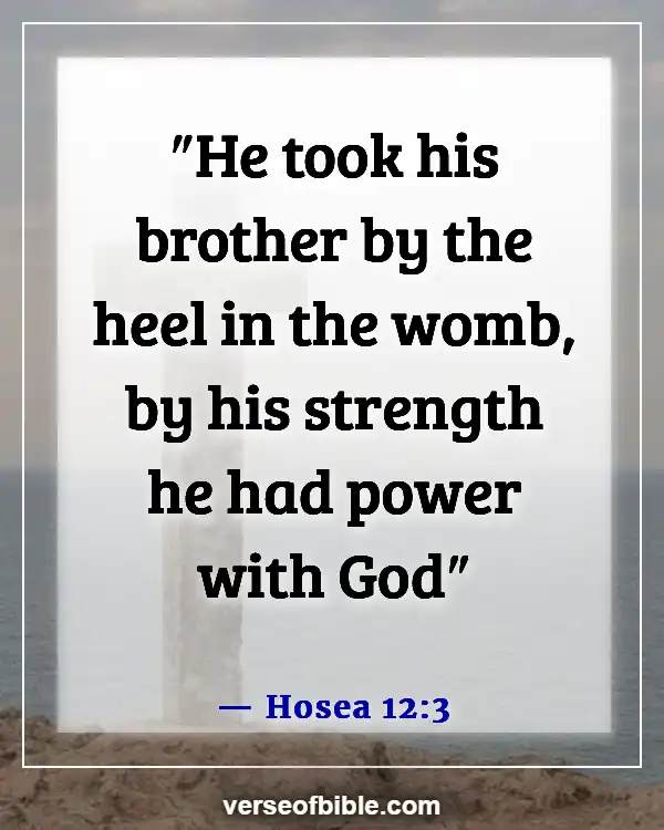 Bible Verses About Life Beginning At Conception (Hosea 12:3)