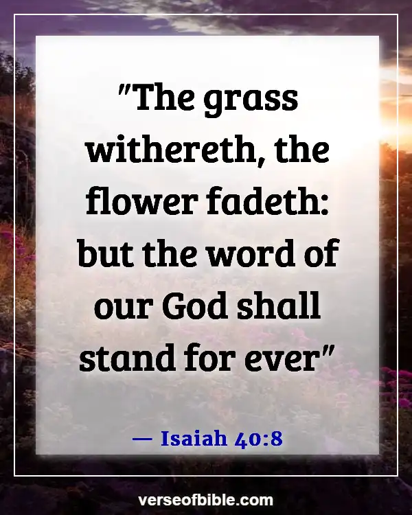 Understanding the Bible from an Eternal Perspective (Isaiah 40:8)