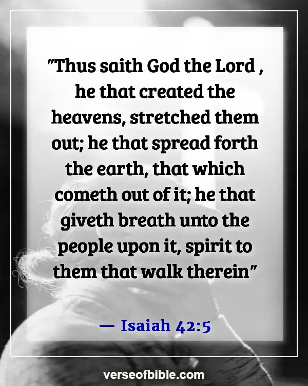 Bible Verses About God’s Beautiful Creation (Isaiah 42:5)