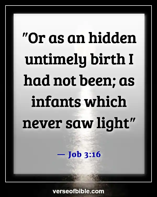 Bible Verses About Life Beginning At Conception (Job 3:16)