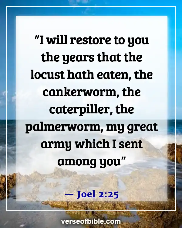 Bible Verses About God Turning Bad Into Good (Joel 2:25)