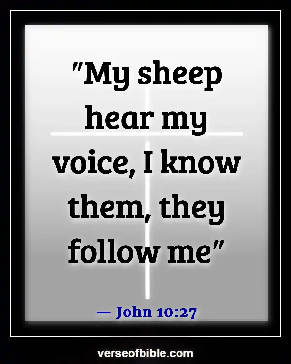 Bible Verses About  God Leading Your Path (John 10:27)