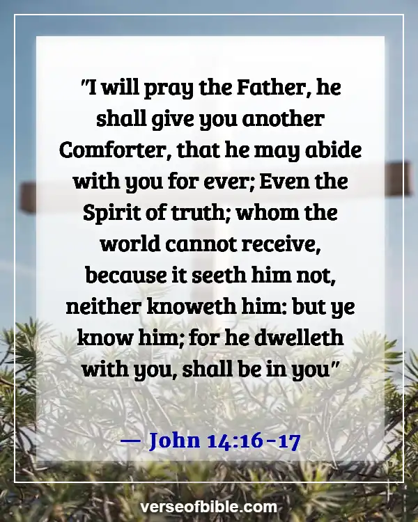 Bible Verses About Friendship And Relationship With God (John 14:16-17)