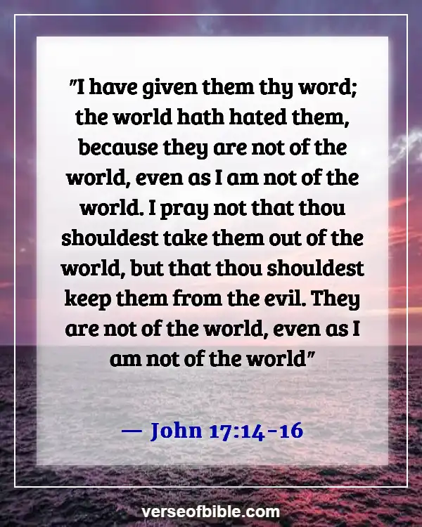 Bible Verses About Not Following The World (John 17:14-16)