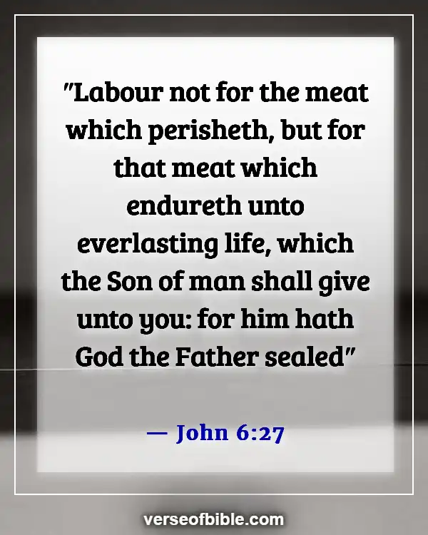 Bible Verses About Attitude Towards Work (John 6:27)