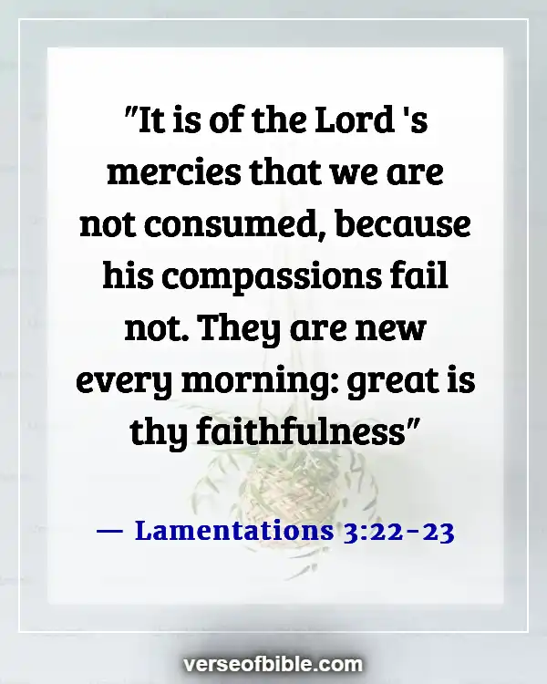 Bible Verses About Trials In Life  (Lamentations 3:22-23)