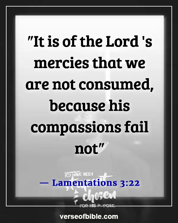 Bible Verses About God’s Love Never Failing (Lamentations 3:22)