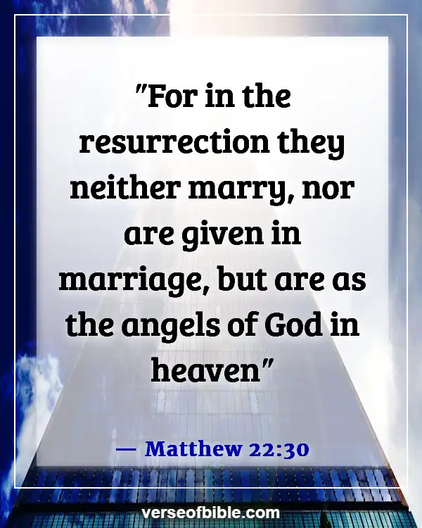 Husband And Wife Reunited In Heaven Bible Verse (Matthew 22:30)