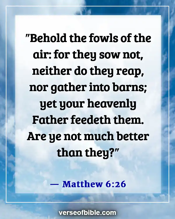 Bible Verses About How Precious We Are To God (Matthew 6:26)