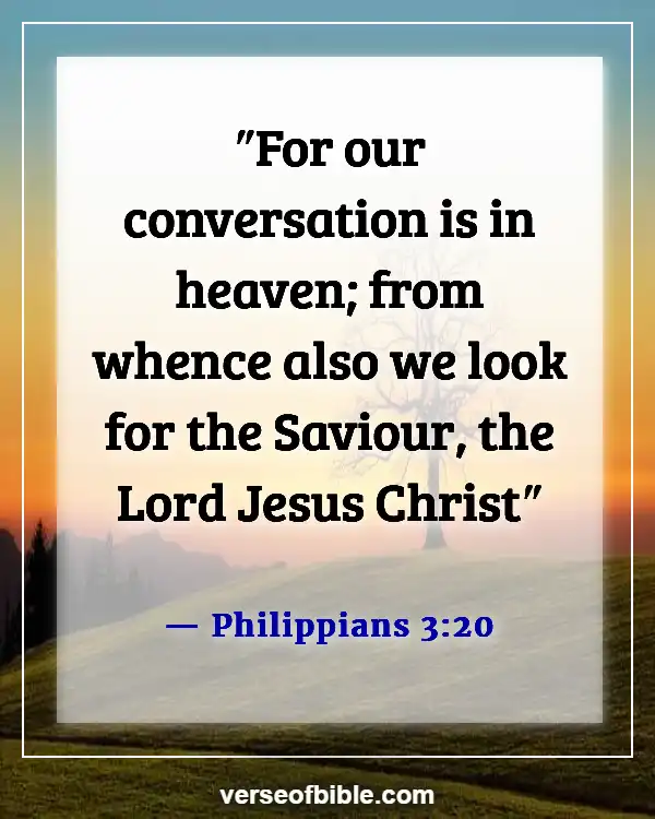 Bible Verses About Not Following The World (Philippians 3:20)