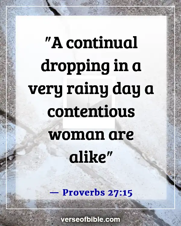 A Wife That Disrespects Her Husband Bible Verse (Proverbs 27:15)