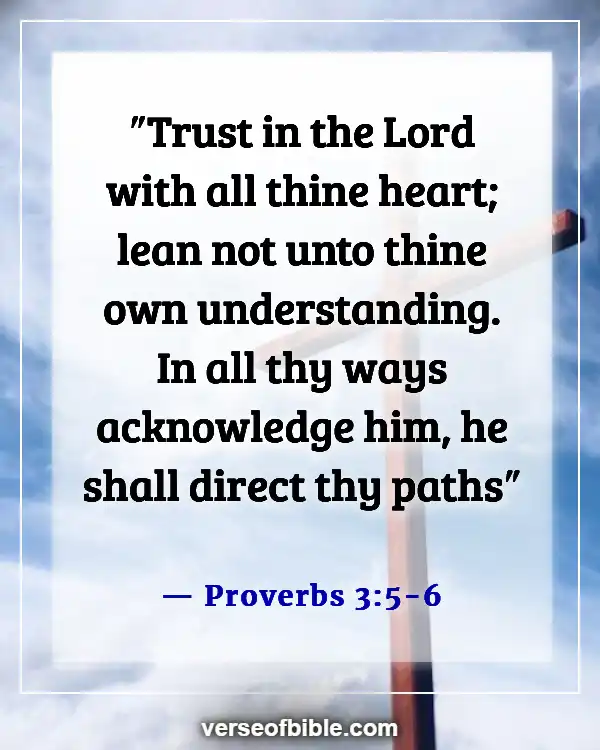 Bible Verses About Trials In Life  (Proverbs 3:5-6)