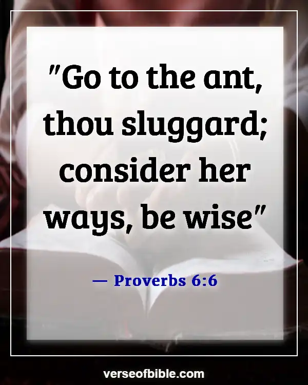 Bible Verses About Attitude Towards Work (Proverbs 6:6)