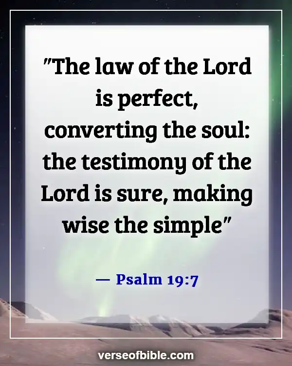 Understanding the Bible from an Eternal Perspective (Psalm 19:7)