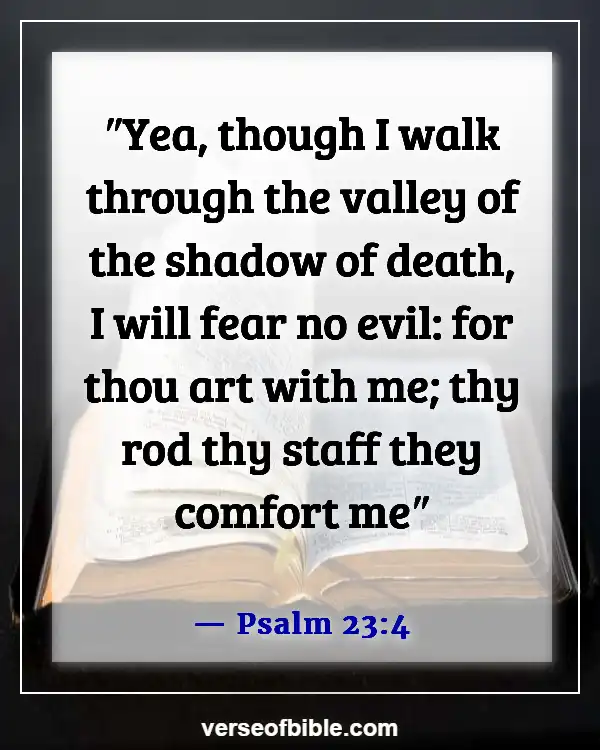 Bible Verses About Trials In Life  (Psalm 23:4)