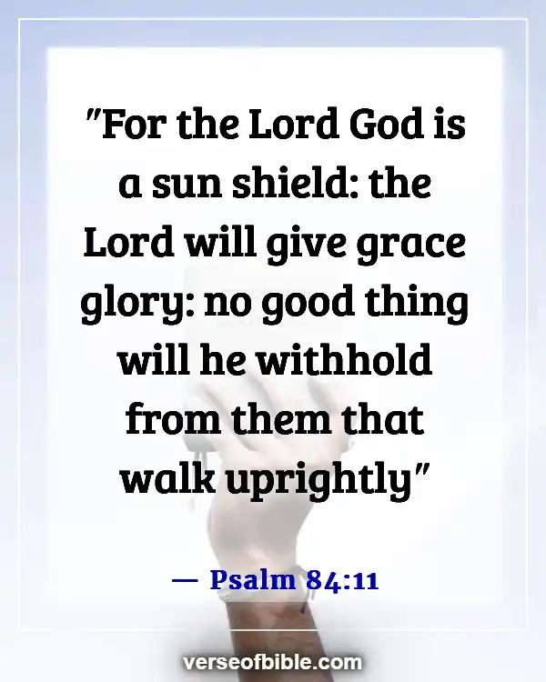 Bible Verses About God Turning Bad Into Good (Psalm 84:11)