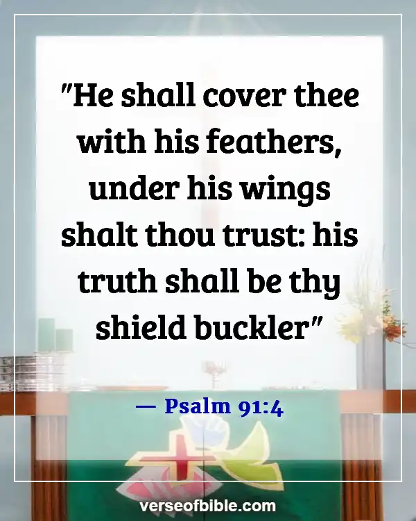 Bible Verses About Staying Calm In The Storm And Trusting God (Psalm 91:4)