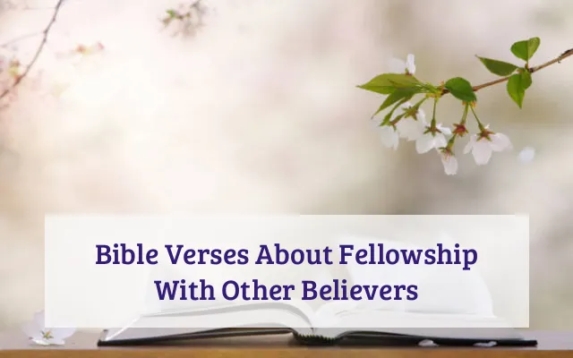 Bible Verses About Fellowship With Other Believers