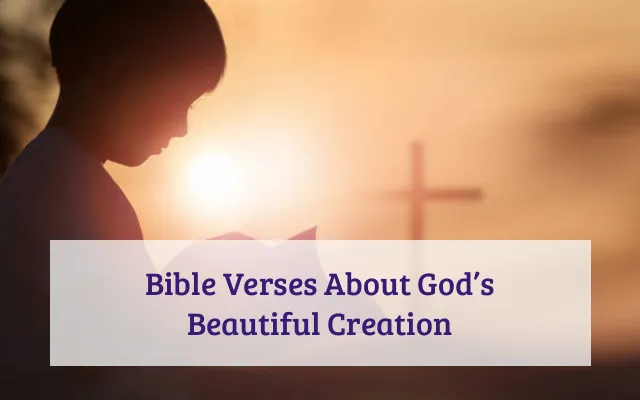 Bible Verses About God’s Beautiful Creation