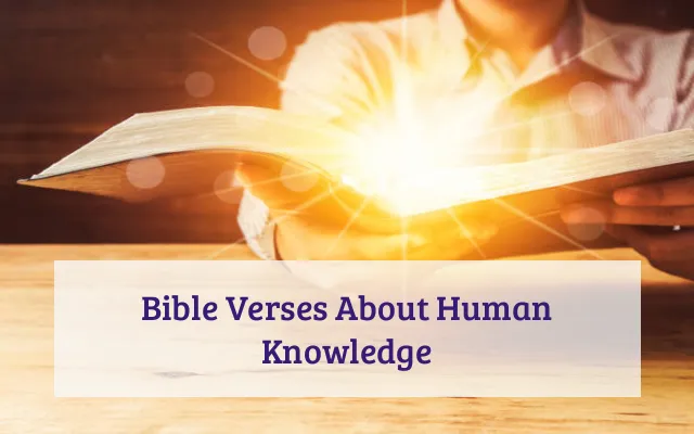 Bible Verses About Human Knowledge