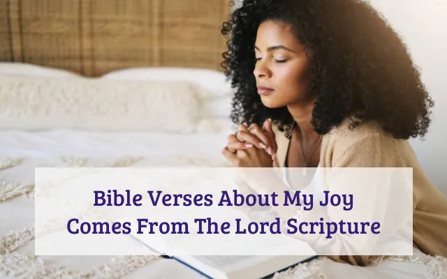 Bible Verses About My Joy Comes From The Lord Scripture