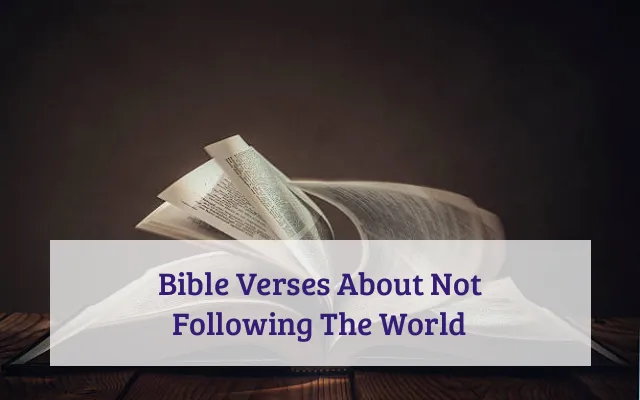 Bible Verses About Not Following The World