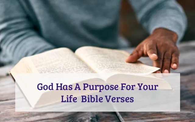 God Has A Purpose For Your Life  Bible Verses